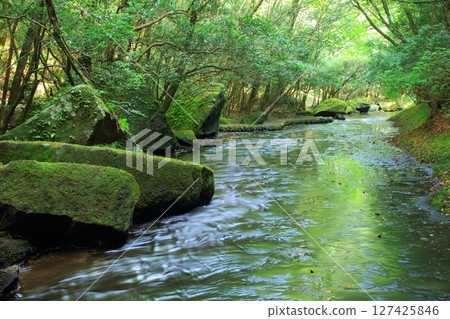 Takekiri Valley in summer (cool image, Usa City) 127425846