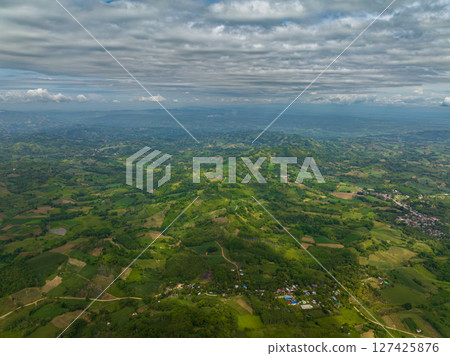 Mountain with agricultural and greenery vegetation. Mindanao. Philippines. 127425876
