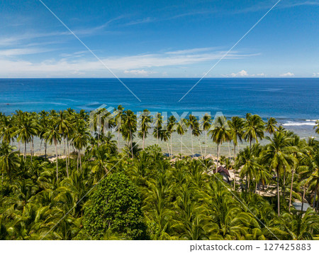 Coconut palm trees in beach. Blue sky and clouds. Mindanao, Philippines. Seascape. 127425883