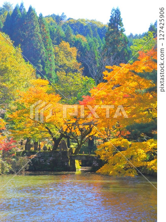 秋天的寶勝寺(豐後大野市、縱構圖) 秋天的寶勝寺(豐後大野市、縱構圖) 127425906