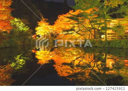秋天的法勝寺（豐後大野市點燈） 127425911