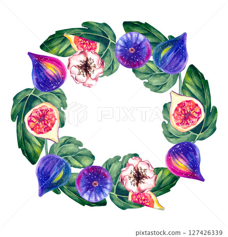 Fig watercolor botanical illustration isolated 127426339