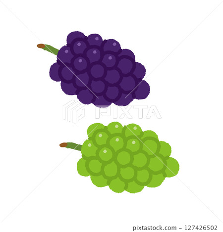 Autumn fruits Grape and Muscat hand-drawn illustration set Autumn fruits Grape and Muscat hand-drawn illustration set 127426502