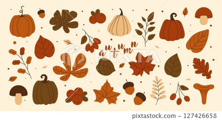 Autumn set. Flat pumpkins, mushrooms, leaves, berries, branches, acorns. Fall season web graphics and cozy design themes. Vector illustration 127426658