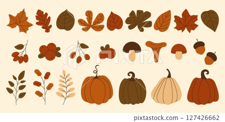 Collection of autumn elements pumpkins, mushrooms, leaves, berries and acorns. Set of fall season web graphics and cozy design themes. Vector illustration 127426662