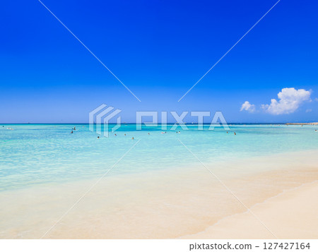Summer, sea and beach image Hawaii 127427164