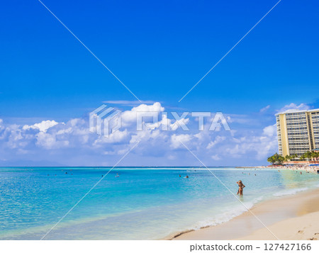 夏威夷威基基海灘 127427166