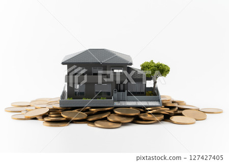 白色背景中，一棟微型獨立式住宅坐落在一枚硬幣上 127427405