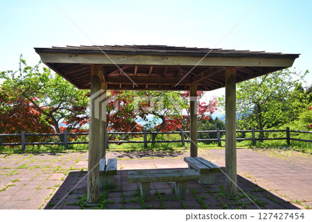 Children's Song Forest Interactive Park 2025-5-3 #51 127427454