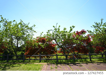 Children's Song Forest Interactive Park 2025-5-3 #52 Children's Song Forest Interactive Park 2025-5-3 #52 127427455