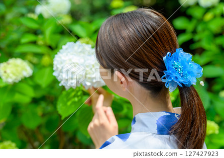 A summer scene where a woman in a yukata with a striking blue hair accessory gently reaches out to a white hydrangea and feels nature. A summer scene where a woman in a yukata with a striking blue hair accessory gently reaches out to a white hydrangea and feels nature. 127427923