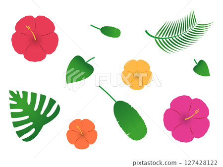 Tropical plant illustrations Tropical plant illustrations 127428122