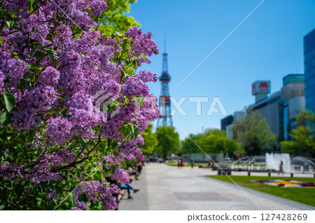 Sapporo Odori Park TV Tower Lilac Lilac 127428269