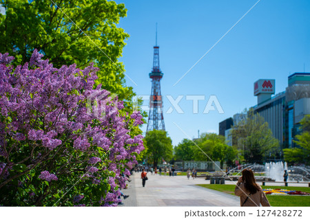 札幌大通公園電視塔 丁香莉拉 127428272