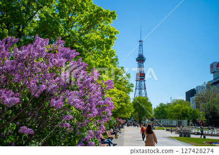 Sapporo Odori Park TV Tower Lilac Lilac Sapporo Odori Park TV Tower Lilac Lilac 127428274