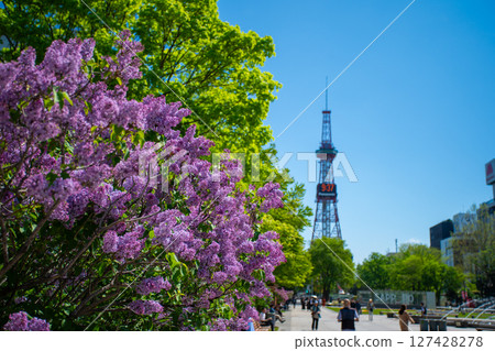 札幌大通公園電視塔 丁香莉拉 札幌大通公園電視塔 丁香莉拉 127428278