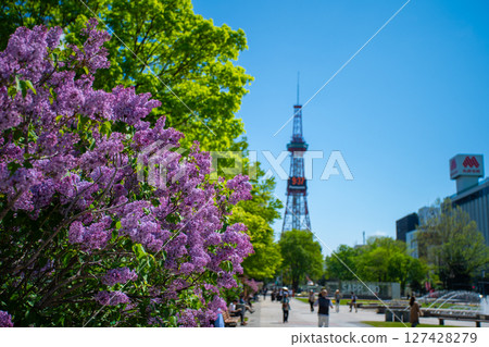Sapporo Odori Park TV Tower Lilac Lilac Sapporo Odori Park TV Tower Lilac Lilac 127428279