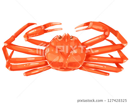 Snow crab illustration Snow crab illustration 127428325