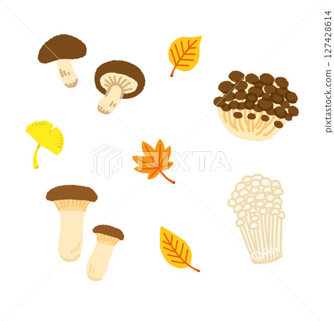 秋季蘑菇插圖集（Eringi，Shimeji，Enoki，Shiitake） 127428614