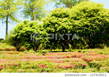 童謠森林互動樂園 2025-5-3 #81 127428811