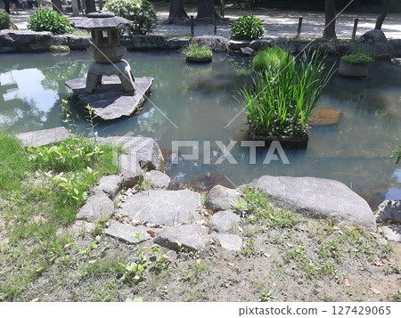 A pond in the shrine grounds A pond in the shrine grounds 127429065