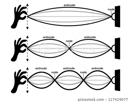 Educational illustration of standing waves on a string fixed at one end, showing different harmonic modes with labeled nodes and antinodes. Ideal for science and physics education content Educational illustration of standing waves on a string fixed at one end, showing different harmonic modes with labeled nodes and antinodes. Ideal for science and physics education content 127429077
