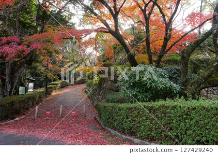 Autumn leaves at Kamei Park in Otake City 127429240