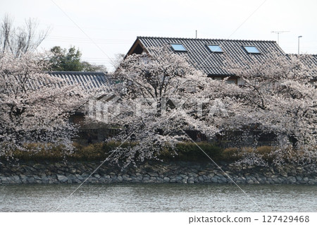 Hashienuma, a park for the citizens of Isesaki Hashienuma, a park for the citizens of Isesaki 127429468