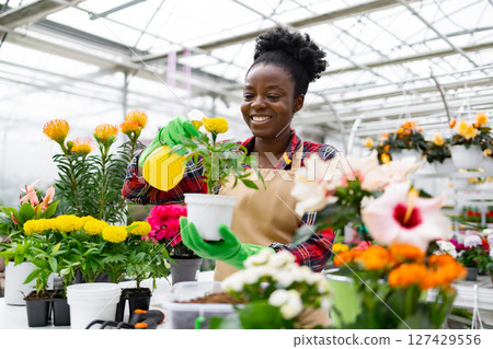 A smiling African American woman waters plants in a greenhouse, surrounded by colorful flowers, showcasing her passion for gardening. 127429556