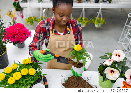 An African woman tending to plants in a greenhouse, focused on replanting a yellow flower into a new pot with soil. An African woman tending to plants in a greenhouse, focused on replanting a yellow flower into a new pot with soil. 127429567