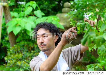 A professional man using pruning shears to trim a tree while focusing on the tips of the branches 127429734
