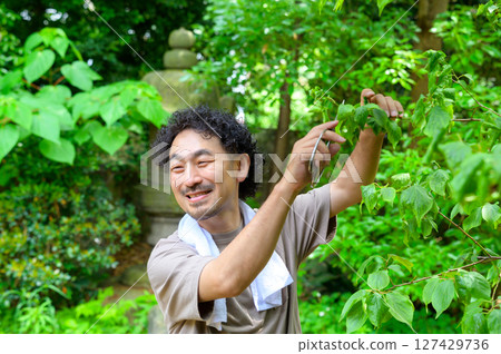 A man working there carefully tending the trees with a gentle smile on his face. 127429736