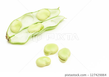 白色背景下從豆莢中取出的新鮮蠶豆 白色背景下從豆莢中取出的新鮮蠶豆 127429864