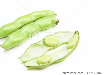 白色背景下從豆莢中取出的新鮮蠶豆 127429866