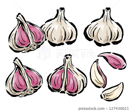 紫蒜:橫切面切成兩半、一片等。手繪插畫,附筆觸 紫蒜:橫切面切成兩半、一片等。手繪插畫,附筆觸 127430021