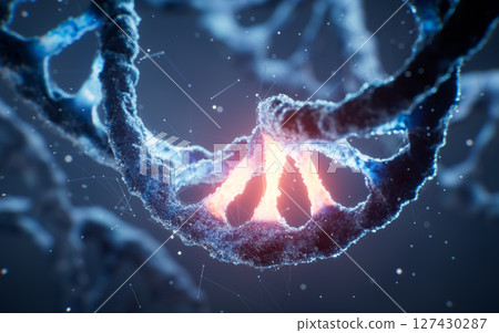Biological DNA structure with bioengineering 127430287