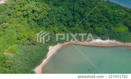 View of Forested Island Surrounded by Coastal City and Mountains 127431782