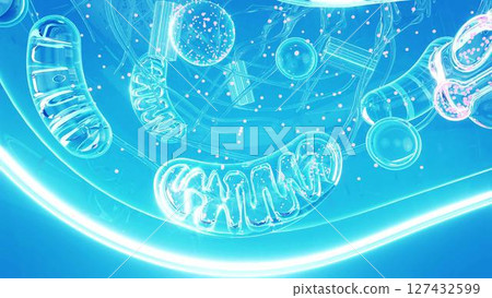 cell_blue_light_mitochondria_zoom 127432599