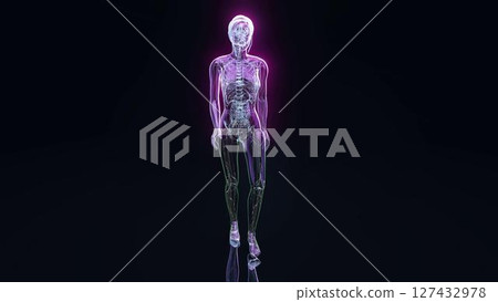 woman_backpain_XRAY woman_backpain_XRAY 127432978
