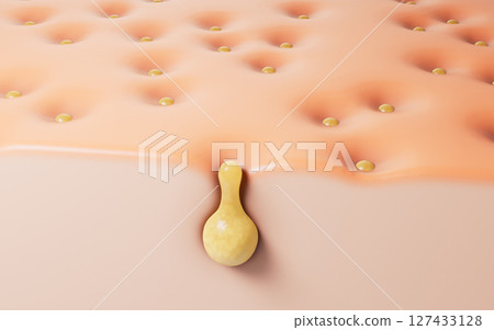 pores, inflammation, sebum 127433128