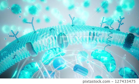 Cell_membrane_blue Cell_membrane_blue 127433475