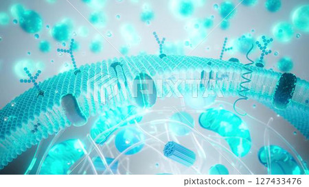 Cell_membrane_blue Cell_membrane_blue 127433476
