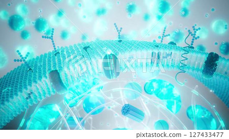 Cell_membrane_blue 127433477