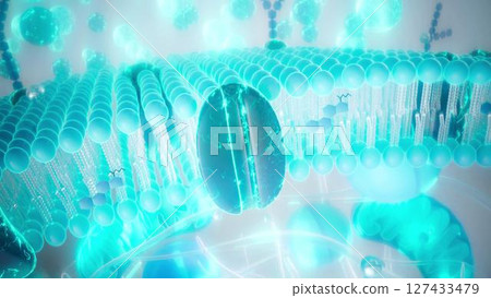 Cell_membrane_blue_zoom Cell_membrane_blue_zoom 127433479