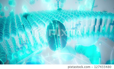 Cell_membrane_blue_zoom Cell_membrane_blue_zoom 127433480