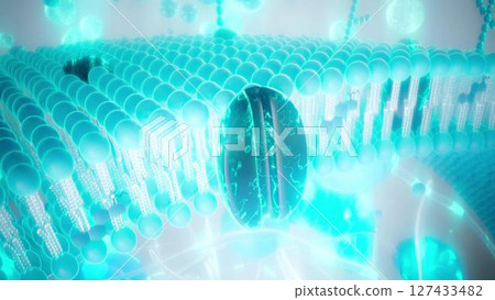 Cell_membrane_blue_zoom Cell_membrane_blue_zoom 127433482