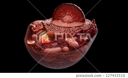 cell_mithocondria_clay_faraway_inside 127433518