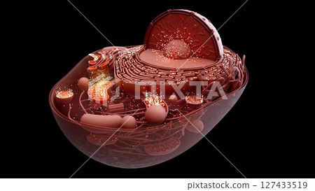 cell_mithocondria_clay_faraway_inside 127433519