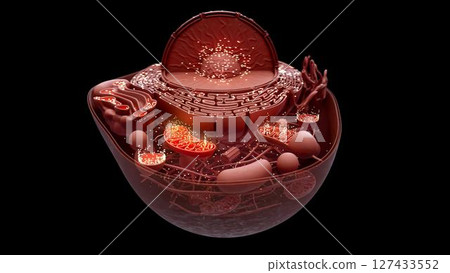 cell_mithocondria_clay_faraway_inside 127433552