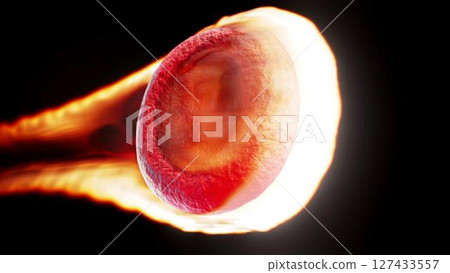 blood_fire blood_fire 127433557